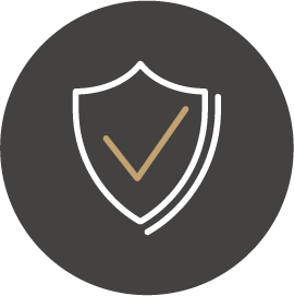 Shield and check mark illustration icon